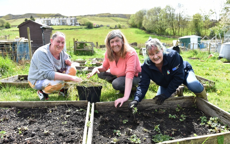 800x500_Rossendale Works Allotment
